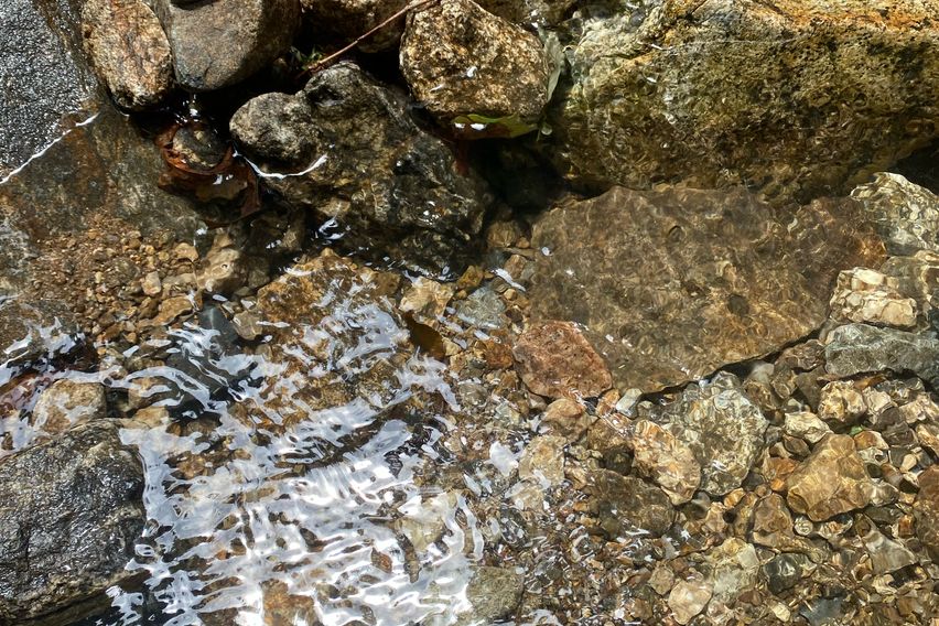 🌿용인 광교산 자연주택 14번째 이미지