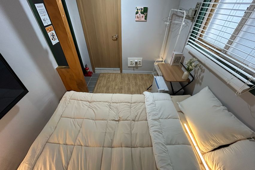 오드 스탠다드 305 4번째 이미지