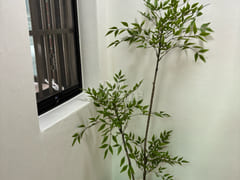 Great location in Yeonnam-dong; spacious. 10th image