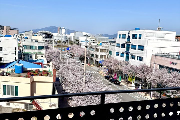 여수지니엠 8번째 이미지
