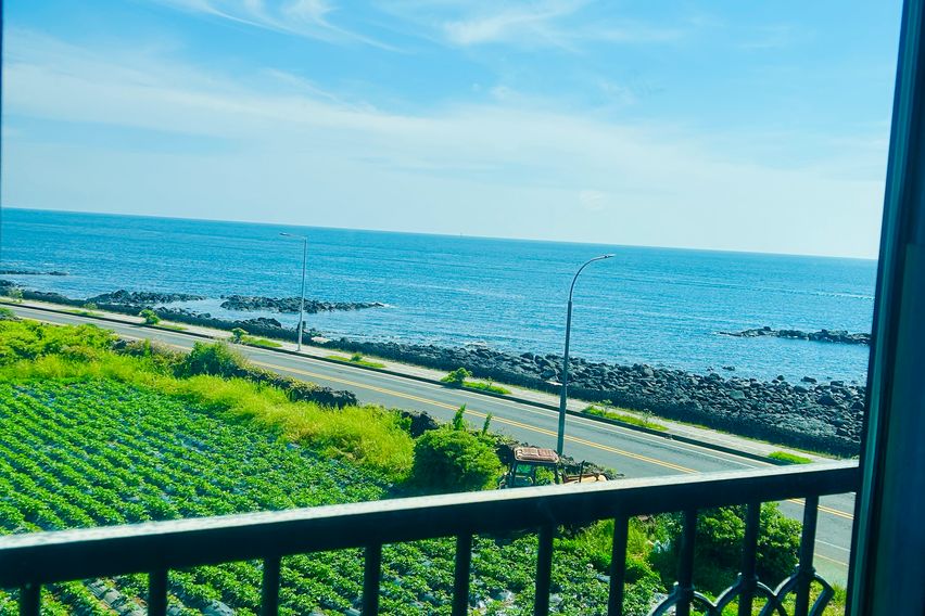 바다와 돌고래 오션뷰