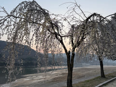 하동섬진강뷰 송림스테이 18번째 이미지