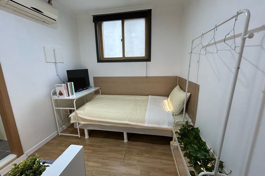 오드 스탠다드 105