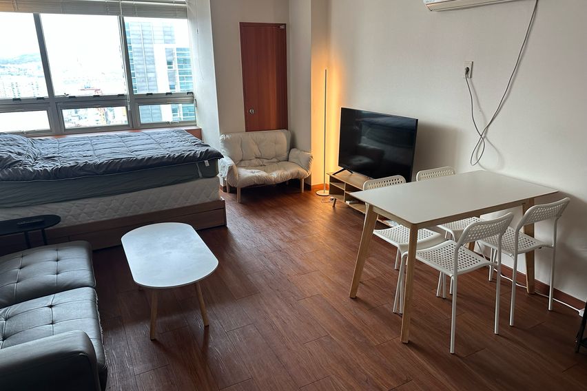 5분👋신사가로수압구정