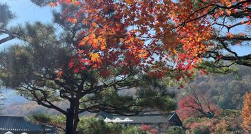 알림톡 테스트방 방 이미지