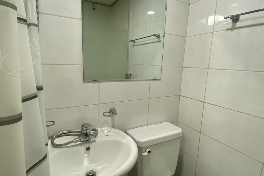 11호 5번째 이미지