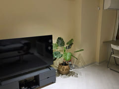 Fully furnished studio apartment in Seogwipo, 18th image