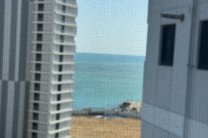 오시리아 반려동물 호텔