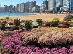광안리와해운대사이 18번째 이미지