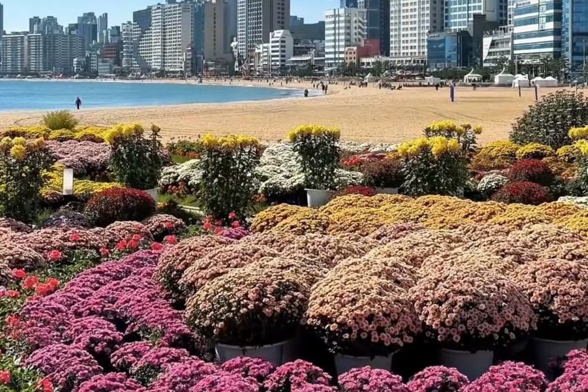 광안리랑센텀사이 18번째 이미지