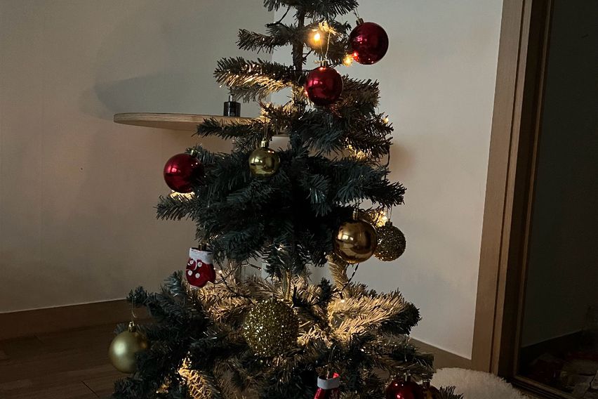 서울대입구 도보 3분🌈