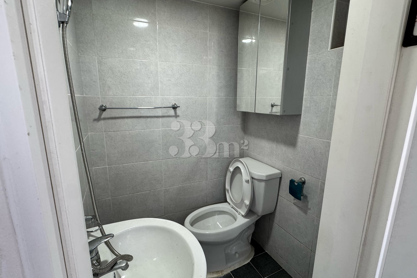 Jeong House, Unit 101 11th image