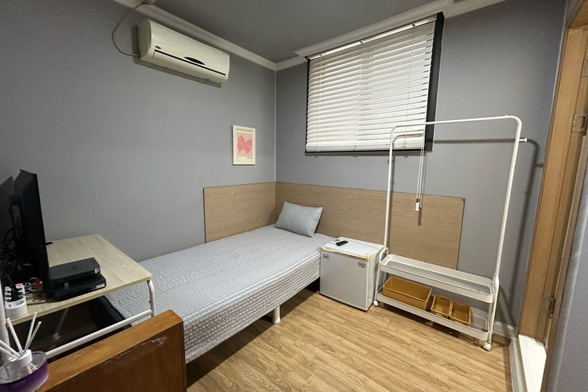 오드 스탠다드 103