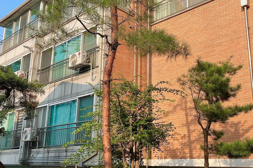 💛홍대 신촌 세브란스