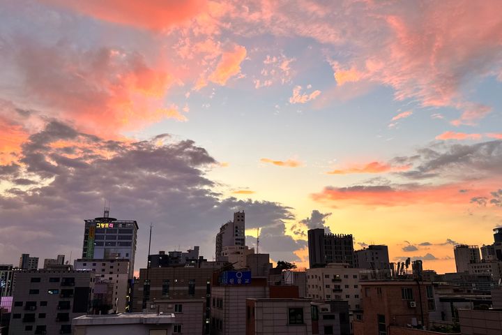 Sillim Sun-filled 2-Room Unit ☀️ 17 Minutes t 14th image