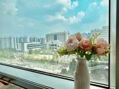 🌼둔산시청역법원💕 3번째 이미지