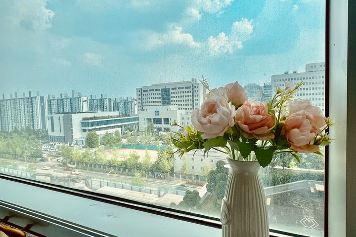🌼둔산시청역법원💕 3번째 이미지