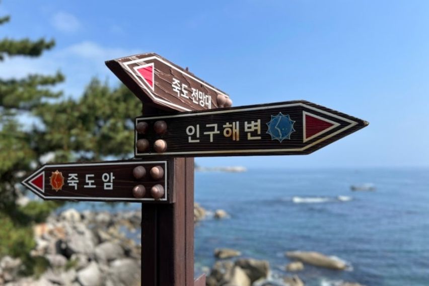 바다코앞정면오션뷰3인