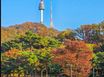 남산단독이용마당있는주택 17번째 이미지