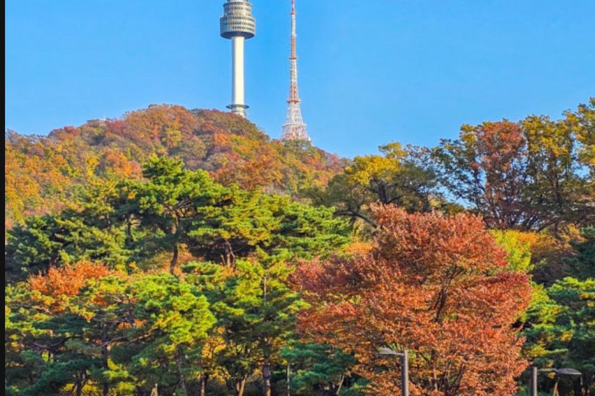 남산단독이용마당있는주택 17번째 이미지