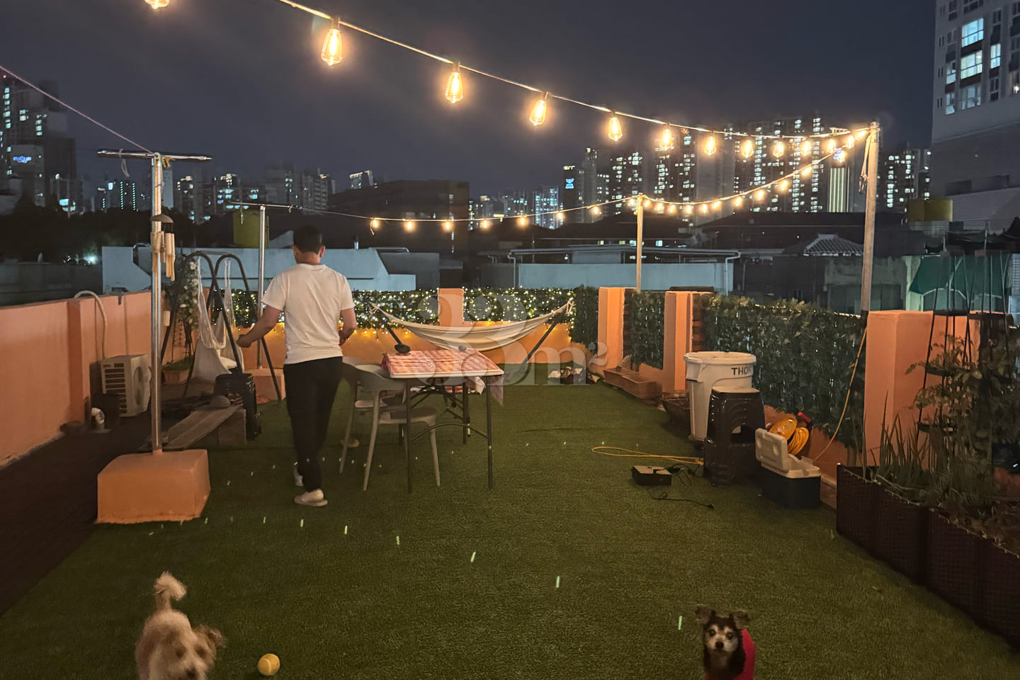Pet-friendly rooftop right by the subway stat 17th image