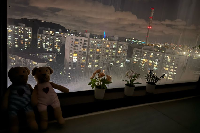 🏥이대병원목동학원가🏫