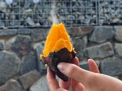 하평해변 돌담 독채 0번째 이미지