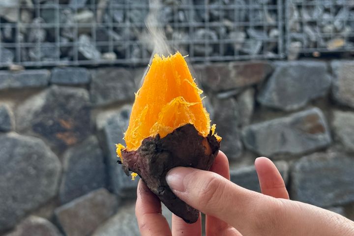 하평해변 돌담 독채 0번째 이미지