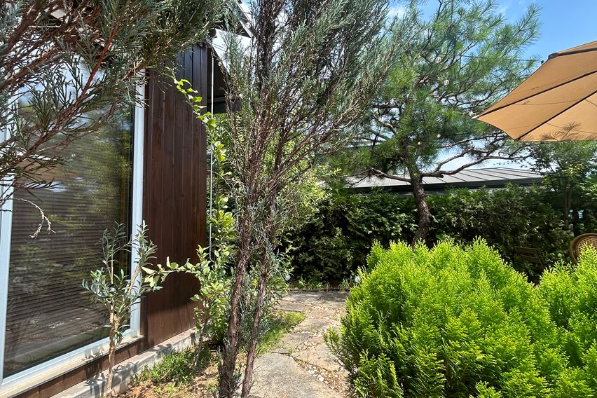 자라섬남이섬감성숙소 10번째 이미지