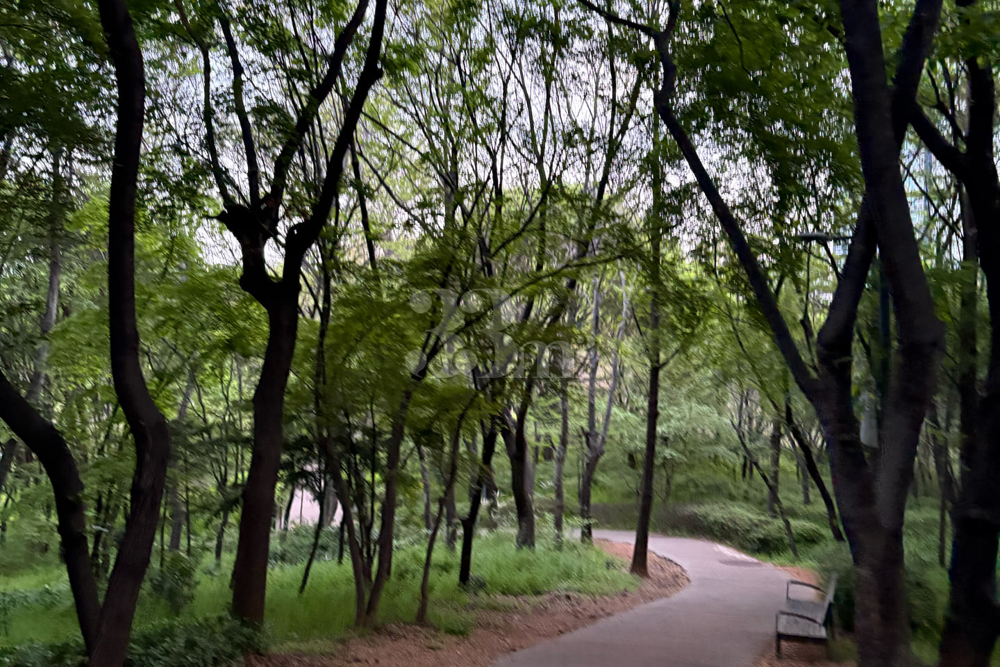 Only4U Gamseong Guwol House 16th image