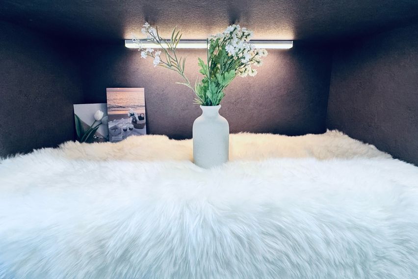 ❤️인덕원 과천/애견동반