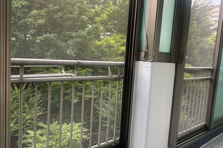 루피네 4번째 이미지