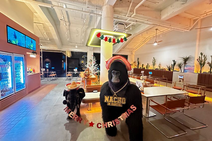 바닷가/넷플/숲세권애견