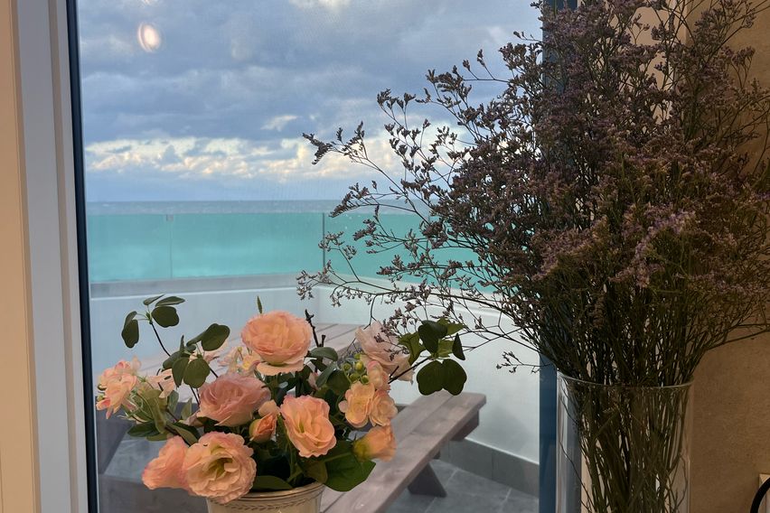 시로미 별바당 0번째 이미지