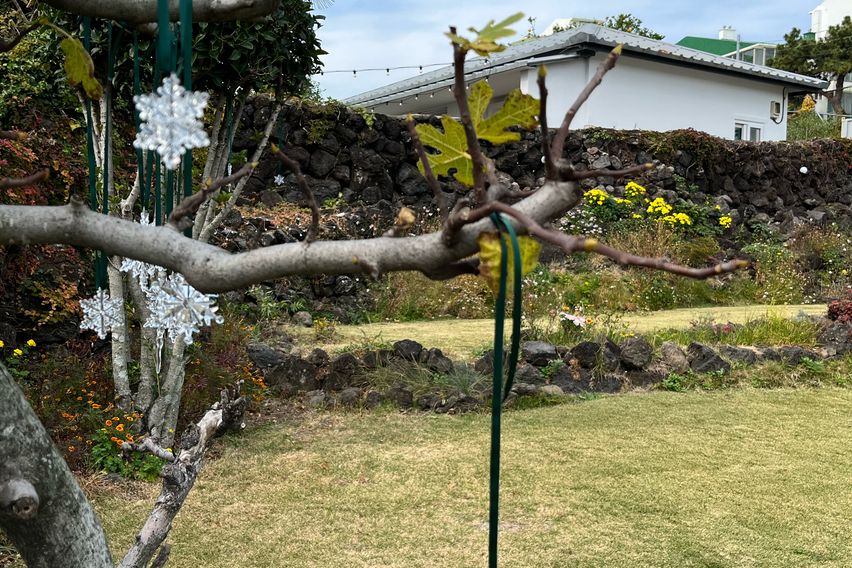 법환포구 돌담집 밖거리