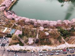 석촌호수&롯데타워 전망 11번째 이미지