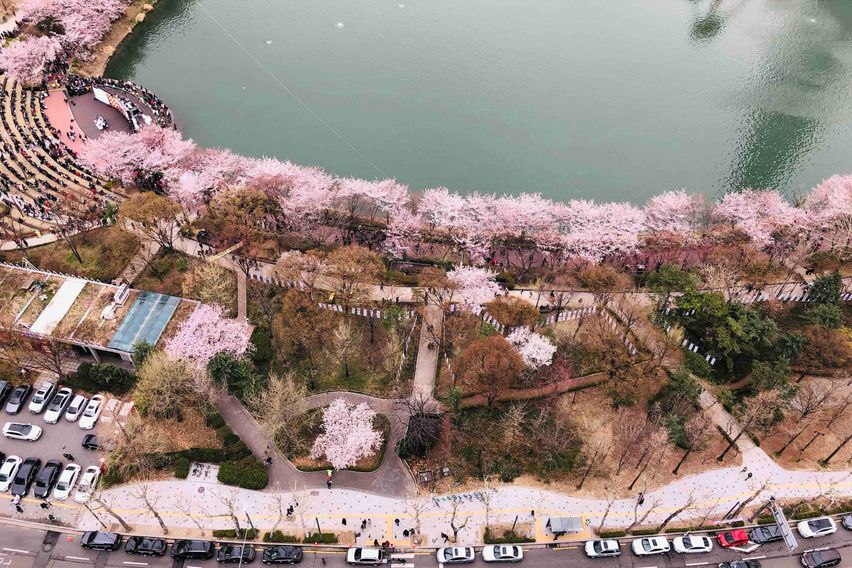 석촌호수&롯데타워 전망 11번째 이미지