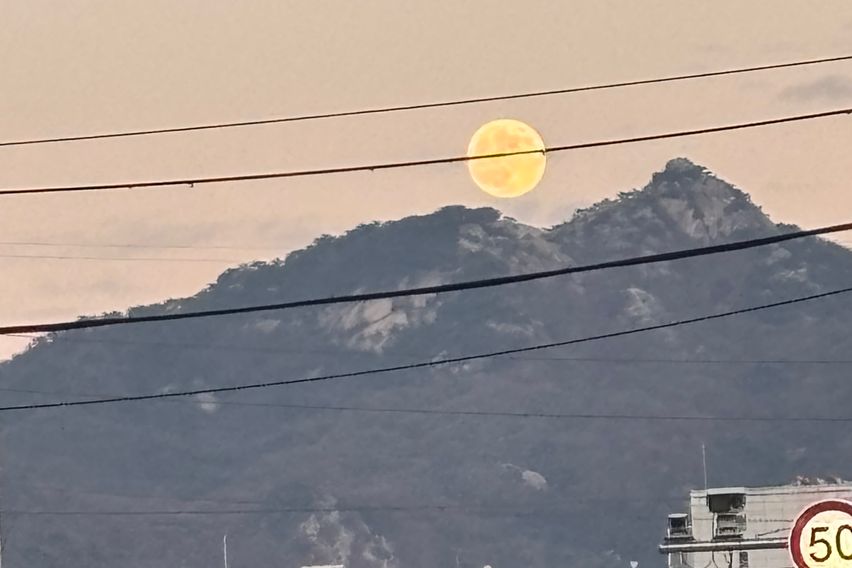 ✅ 며칠 살기 좋은 집 13번째 이미지