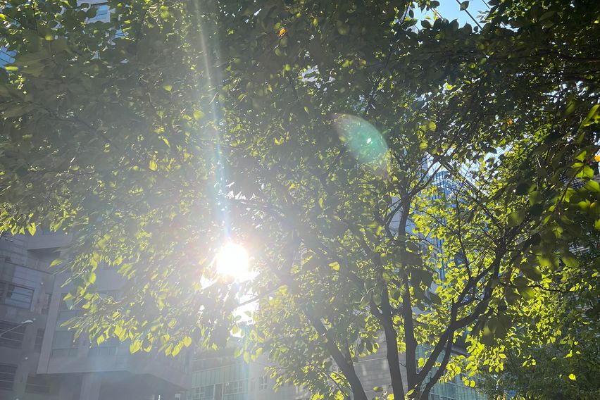 인기호스트❤️공덕2초특가