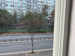 달마의 명상 1번째 이미지