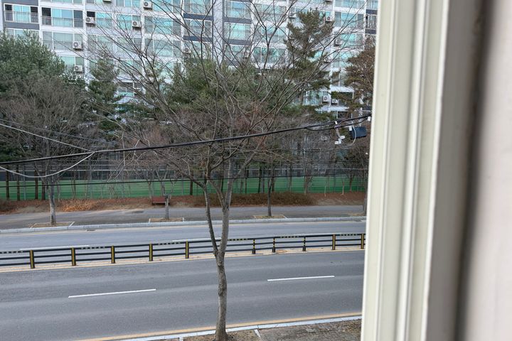 달마의 명상 1번째 이미지