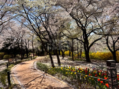 분당이매역1🍀3룸아파트 10번째 이미지