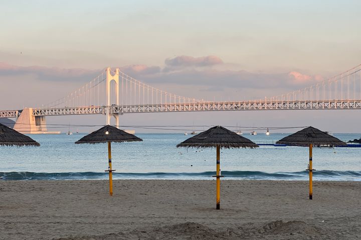 광안리 바다중앙집! 19번째 이미지