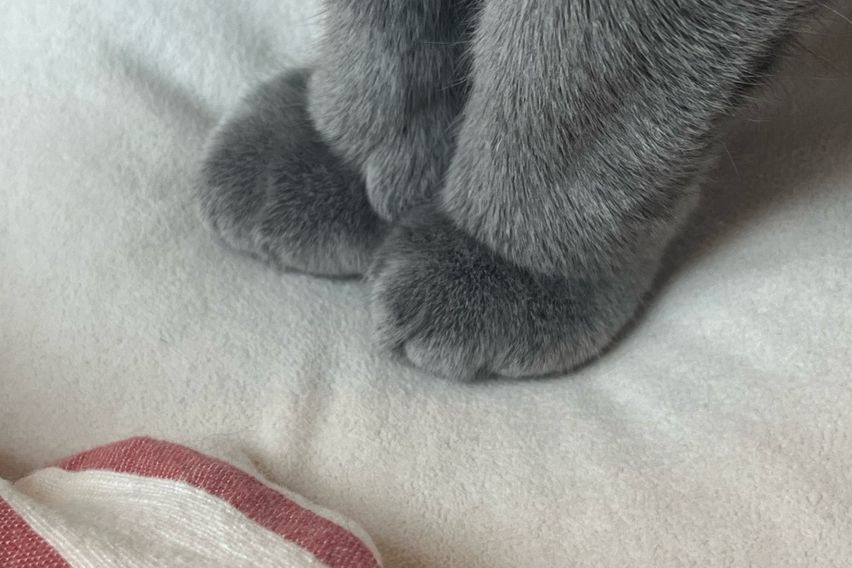 250909 앱스터디 2번째 이미지