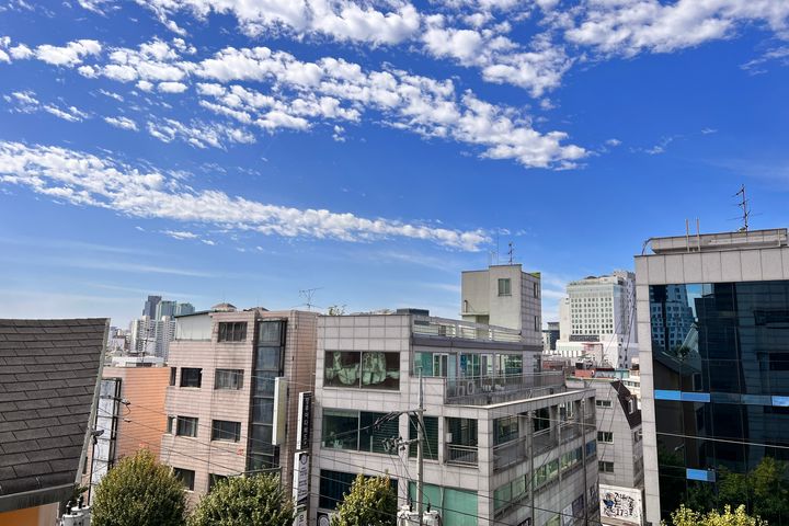 홍대6번출구 경의선숲길 6번째 이미지