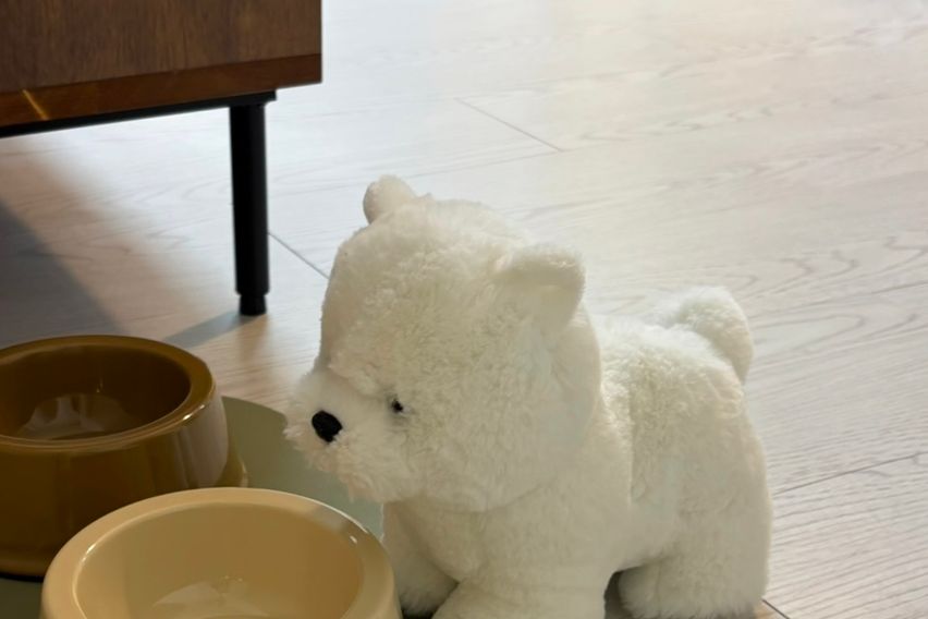 원주스튜디오감성 딩가룸 12번째 이미지