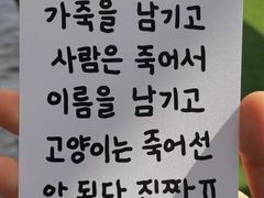 약수역3룸단독전체풀옵션 19번째 이미지