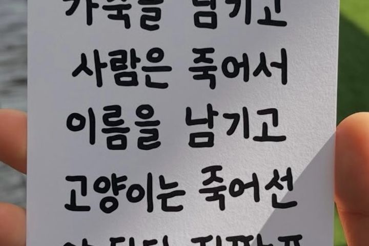 약수역3룸단독전체풀옵션 19번째 이미지
