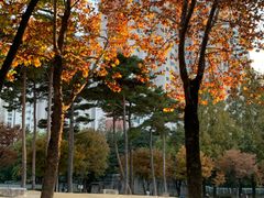 대구 수성구 편안한주택 16번째 이미지