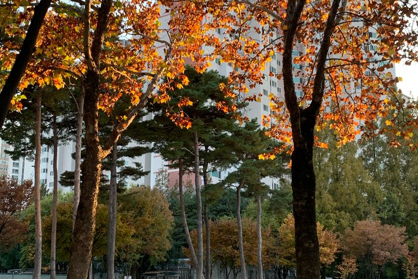 Comfortable home in Suseong-gu, Daegu 16th image